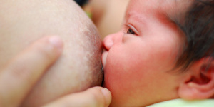 Formation allaitement maternel